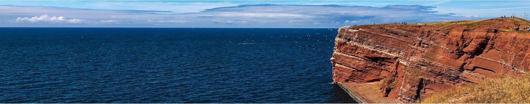 Ocean with rockface. People can be seen on the land while birds are flying off the rockface towards the ocean.